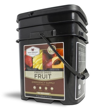 156 Serving Bucket of Wise Emergency Survival Gluten Free Freeze Dried Fruit Variety